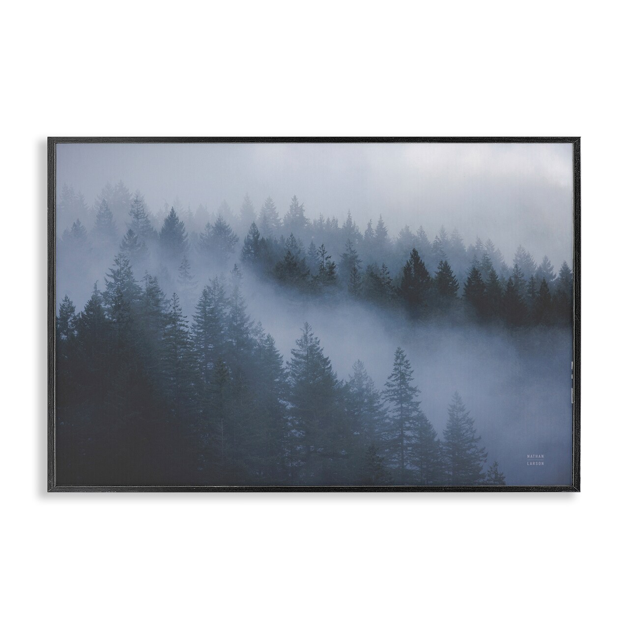 Stupell Industries Fog Filled Trees Landscape Framed Giclee Wall Art Design by Nathan Larson